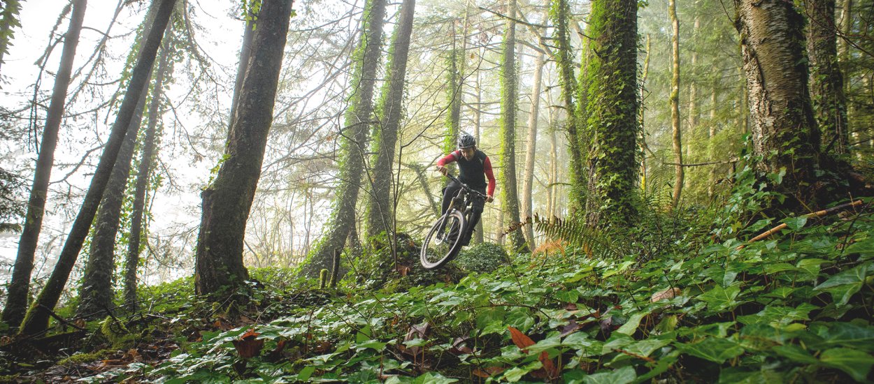 gesolbike header